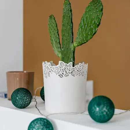 Nicehome Massena شقة نيس