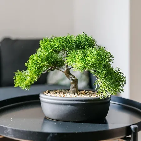 شقة Nicehome Massena