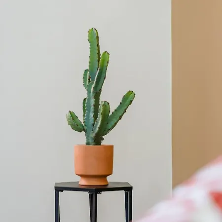 Nicehome Massena * نيس