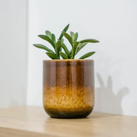 شقة Nicehome Massena