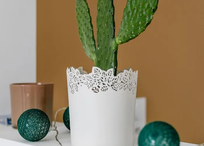 Nicehome Massena アパート ニース