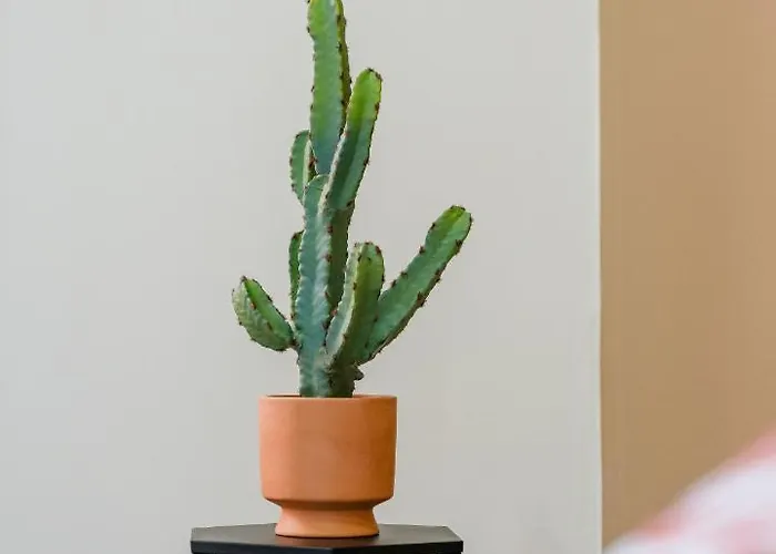 Nicehome Massena * Nice