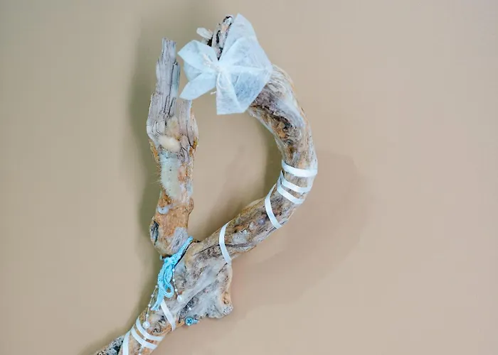 Nicehome Massena Apartamento Nice