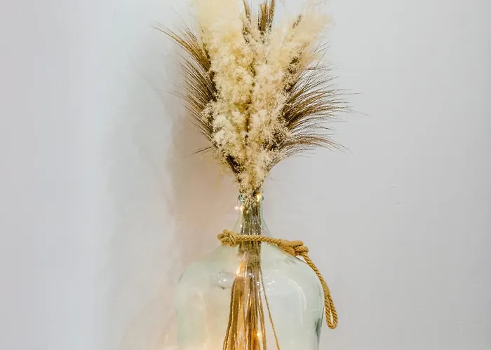 Nicehome Massena Nice